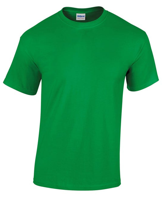 Broseley C of E Primary PE T-Shirt (GD05B)